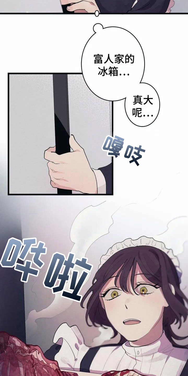 第1章：高级食材17