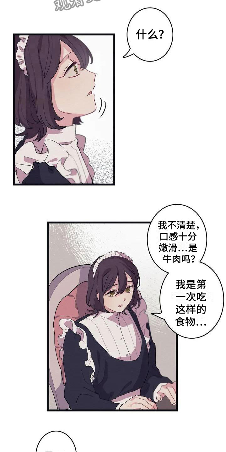 第6章：肉15
