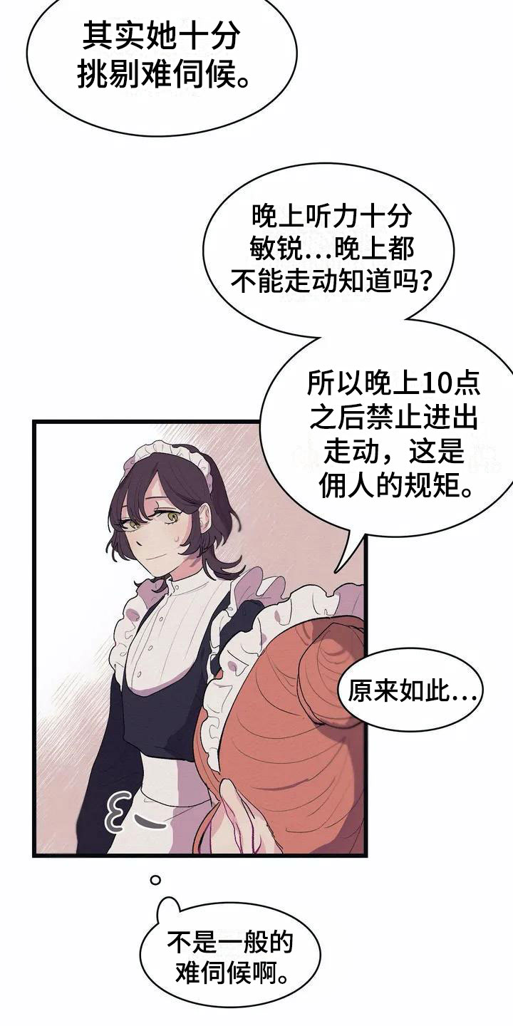 第1章：高级食材11
