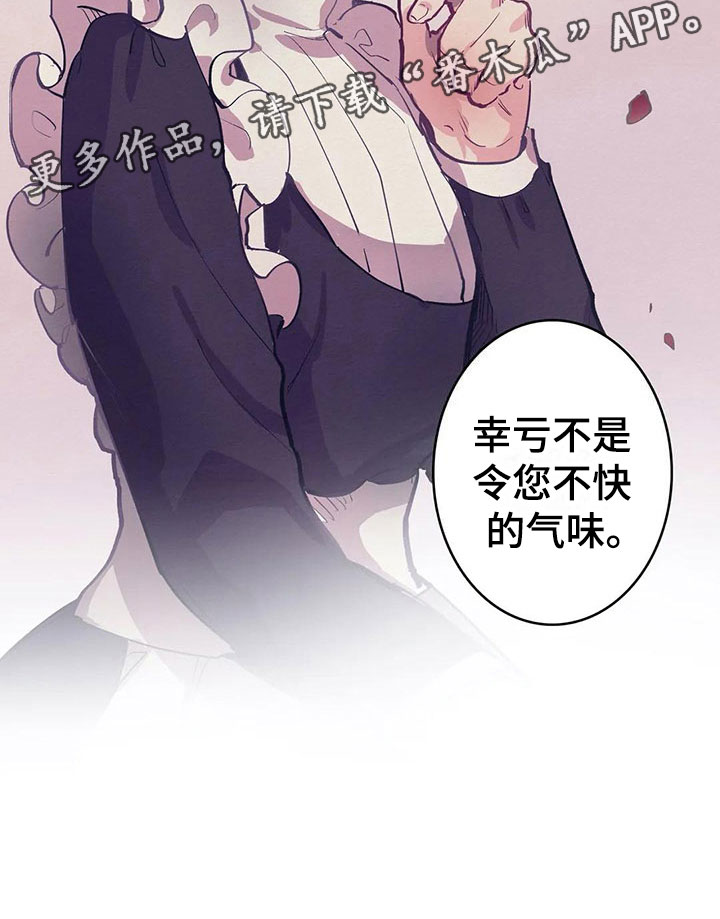 第11章：气味19