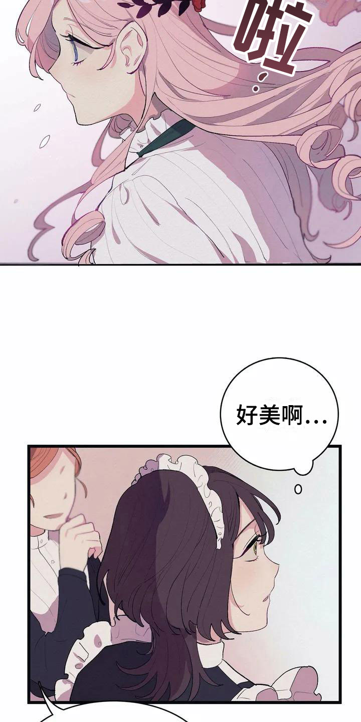 第1章：高级食材10