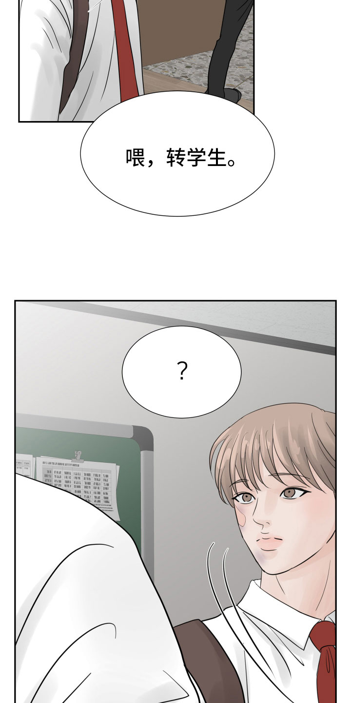 第13章：过得好就好14