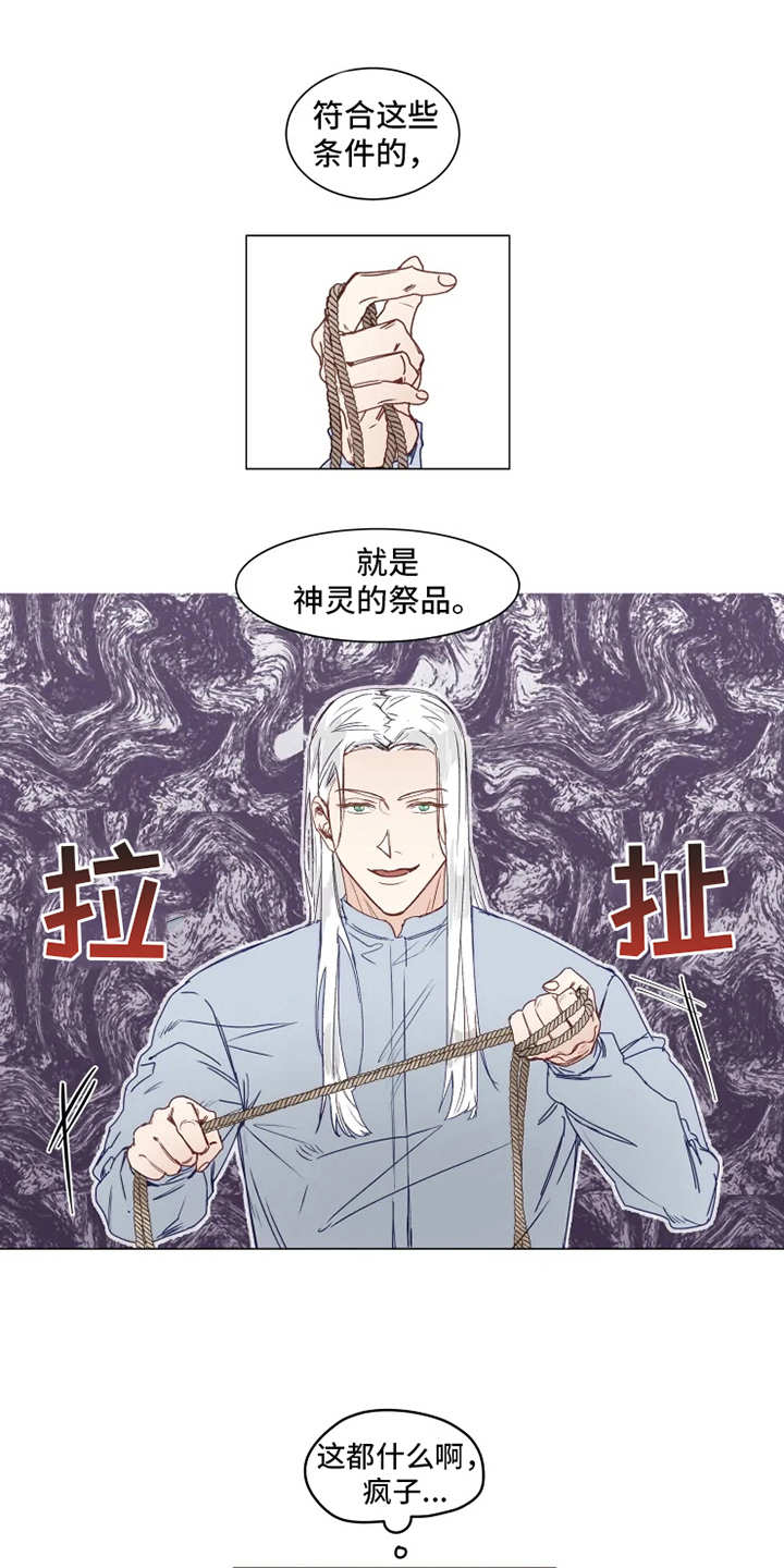 第2章：人类文化12