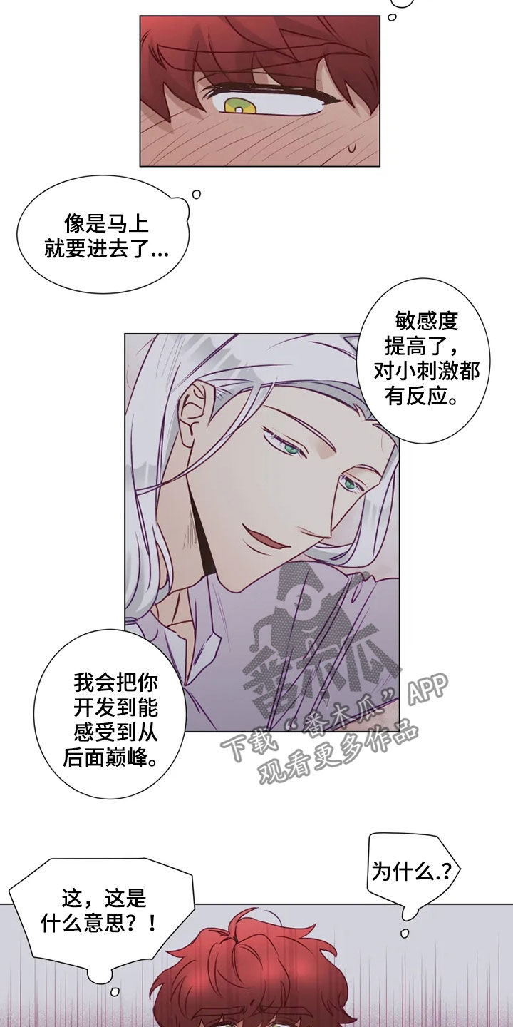 第19章：梦中惊醒13