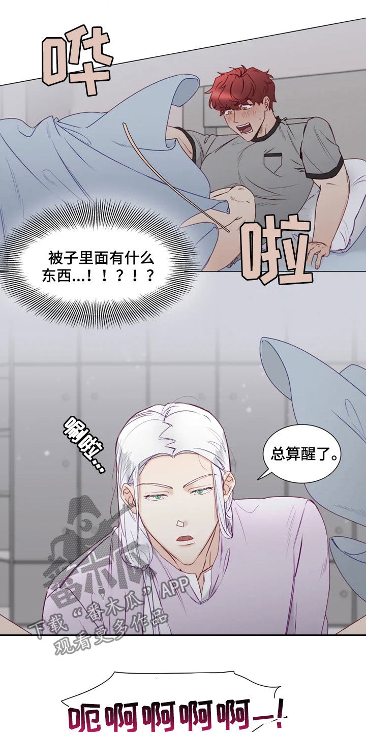 第19章：梦中惊醒8