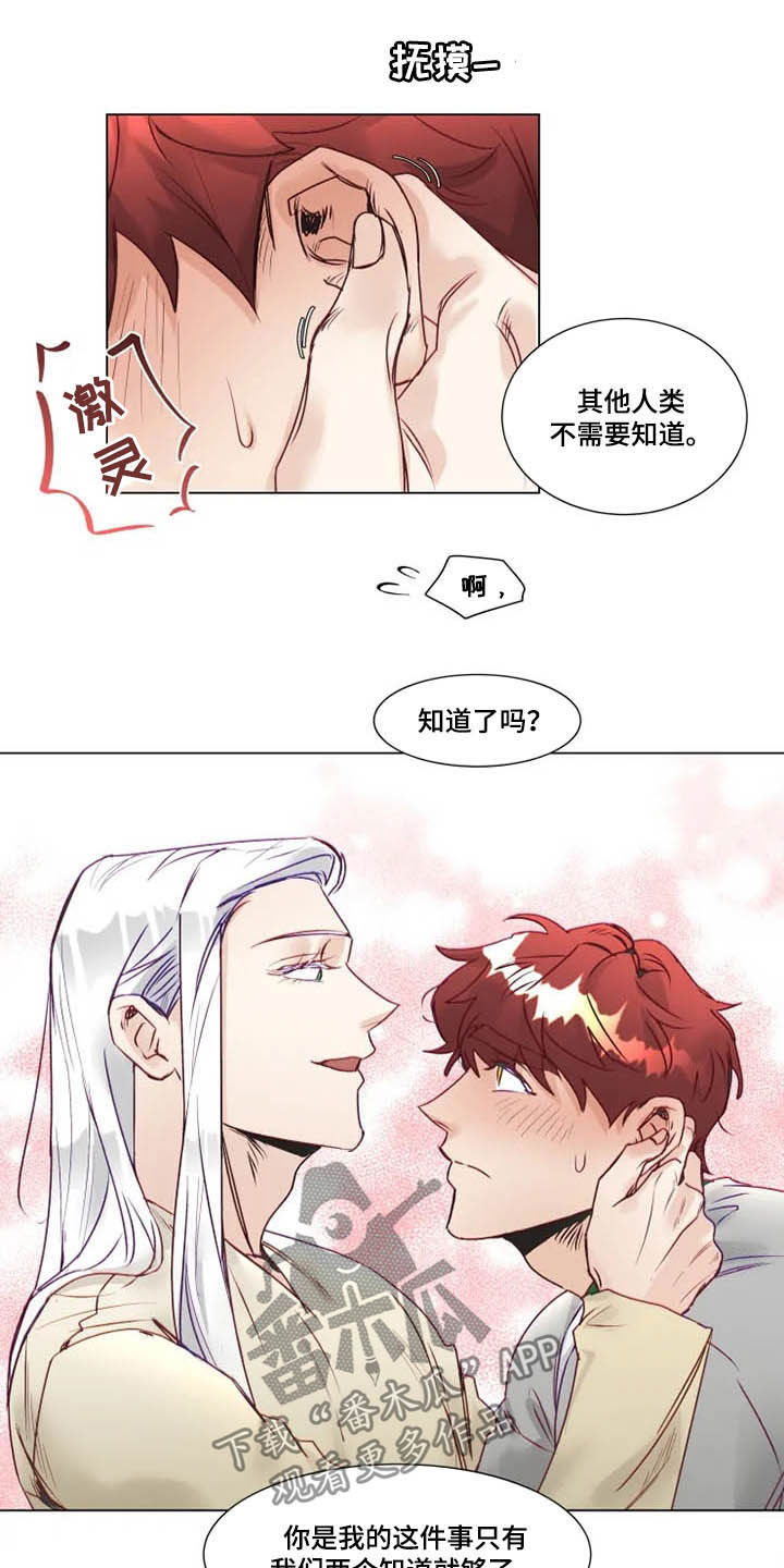 第11章：特别的存在12