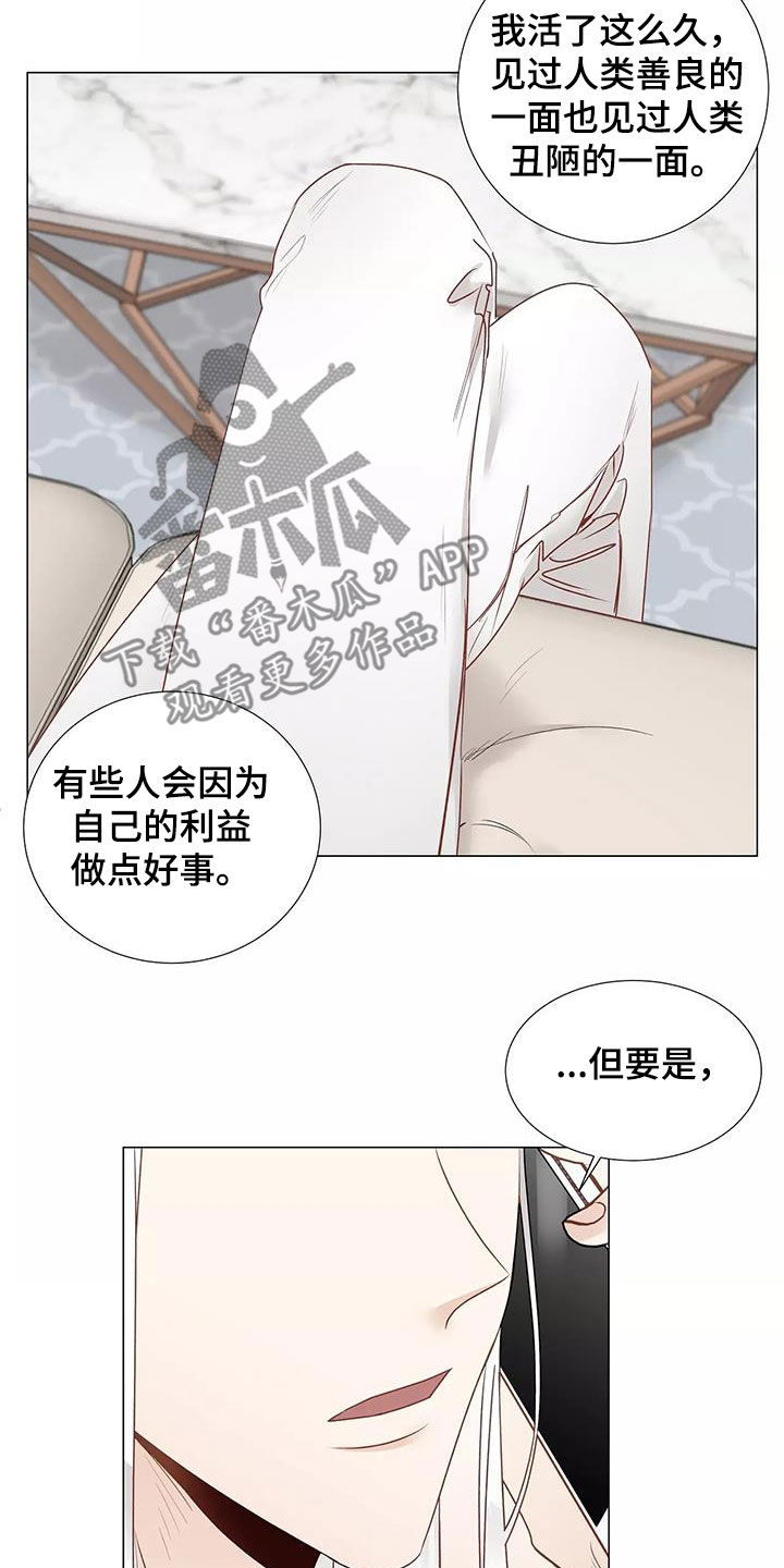 第51章：请教8