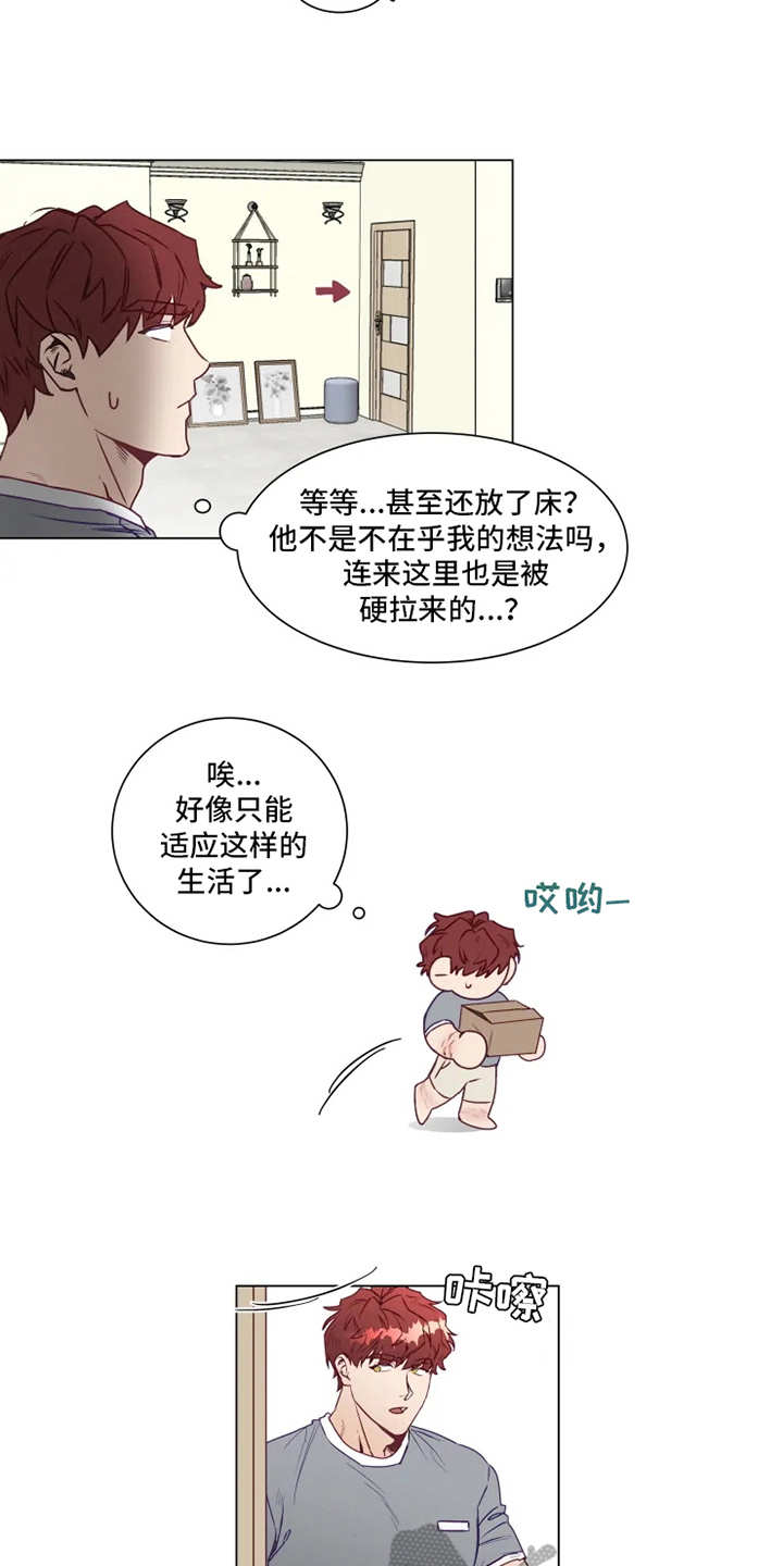 第4章：厨艺2