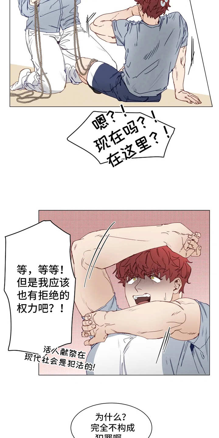 第2章：人类文化14