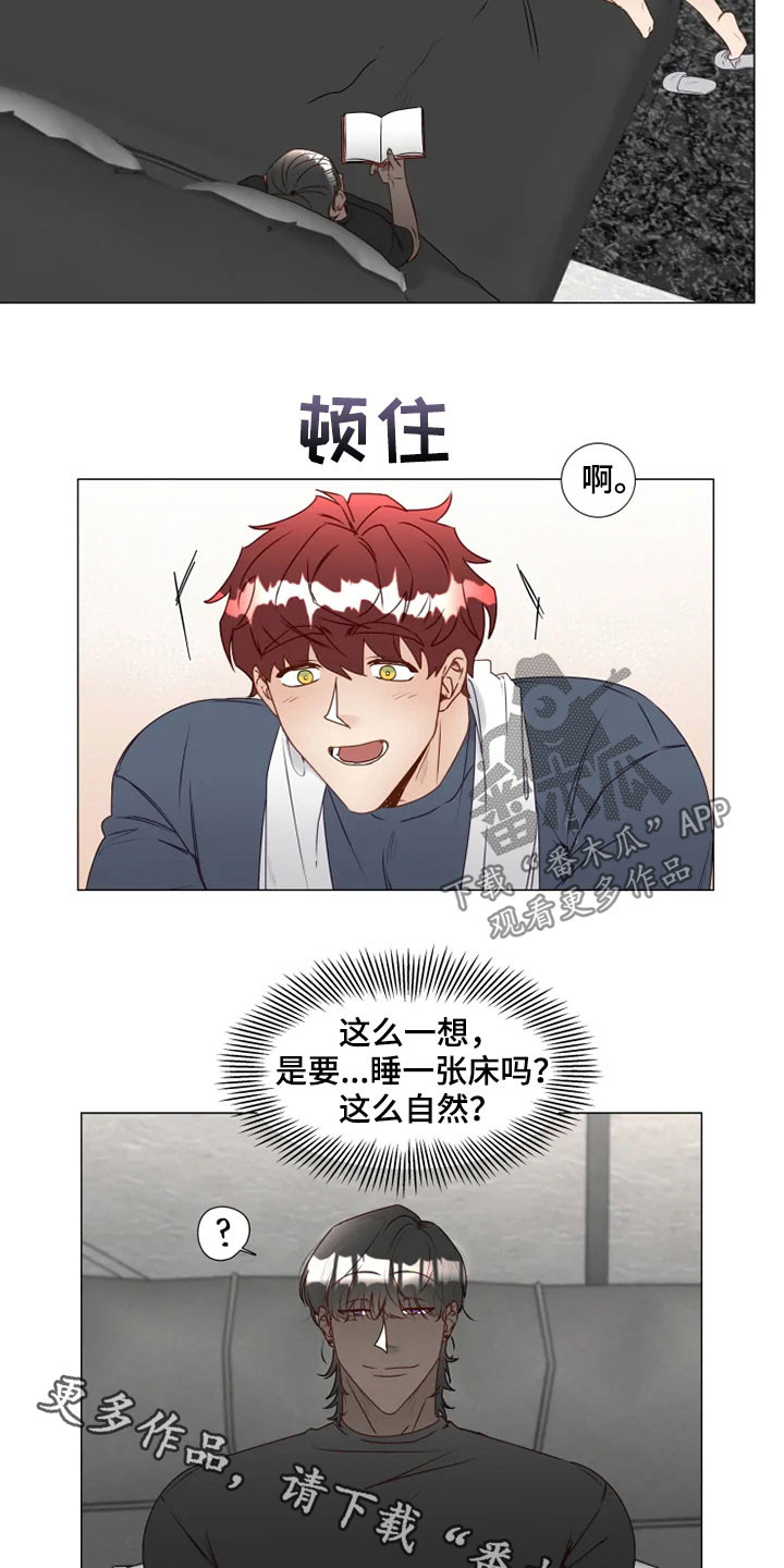 第29章：借口16