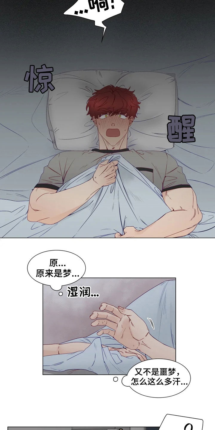 第19章：梦中惊醒6