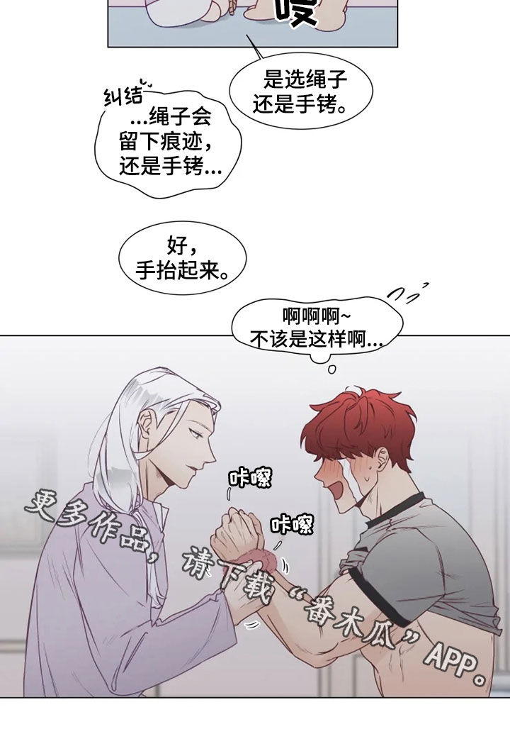 第20章：身不由己12