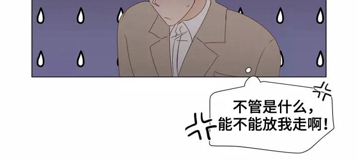 第42章：无视5