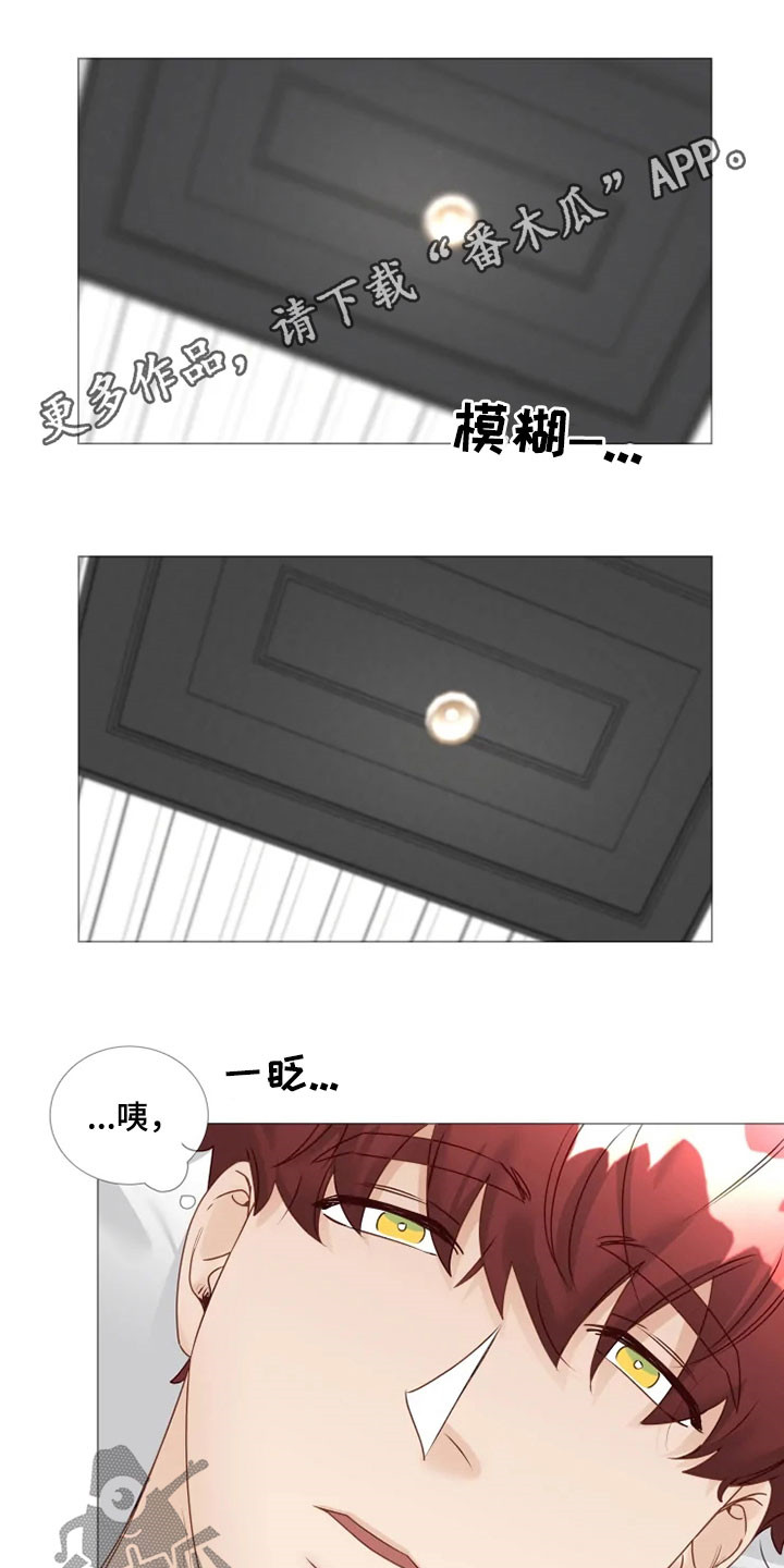 第31章：逛街0