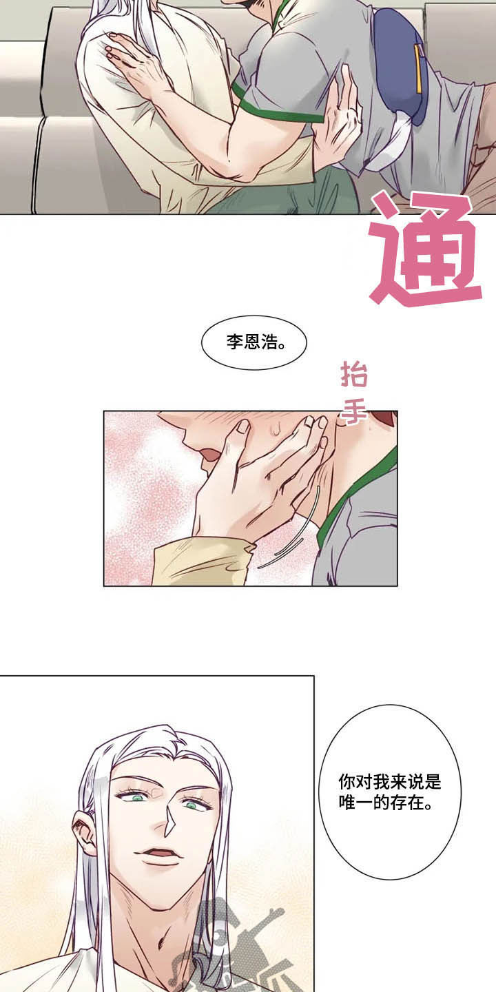 第11章：特别的存在10