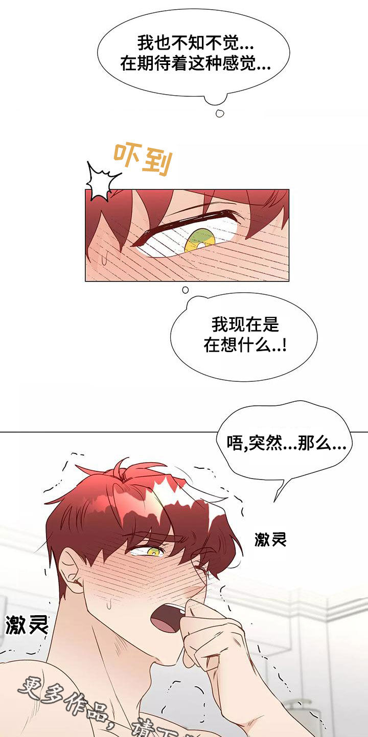 第47章：习惯17