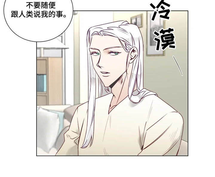 第11章：特别的存在3