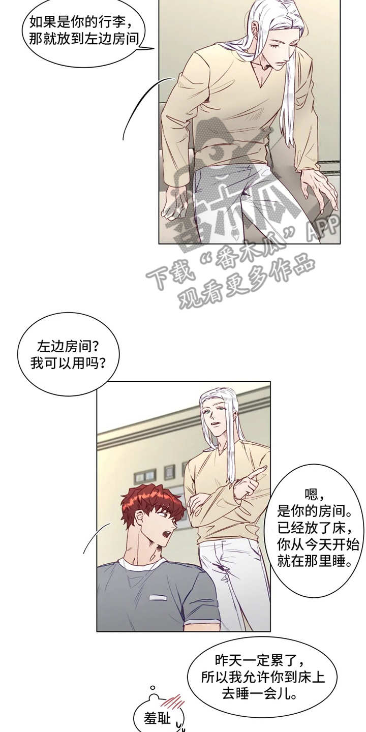 第4章：厨艺1