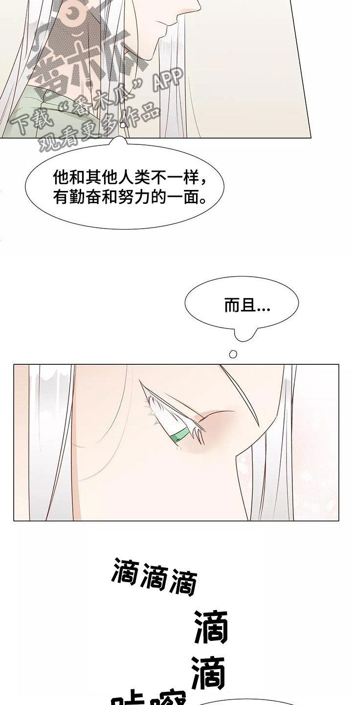 第51章：请教18