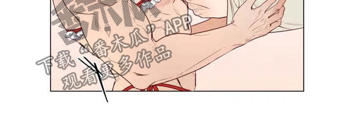 第16章：放弃抵抗14