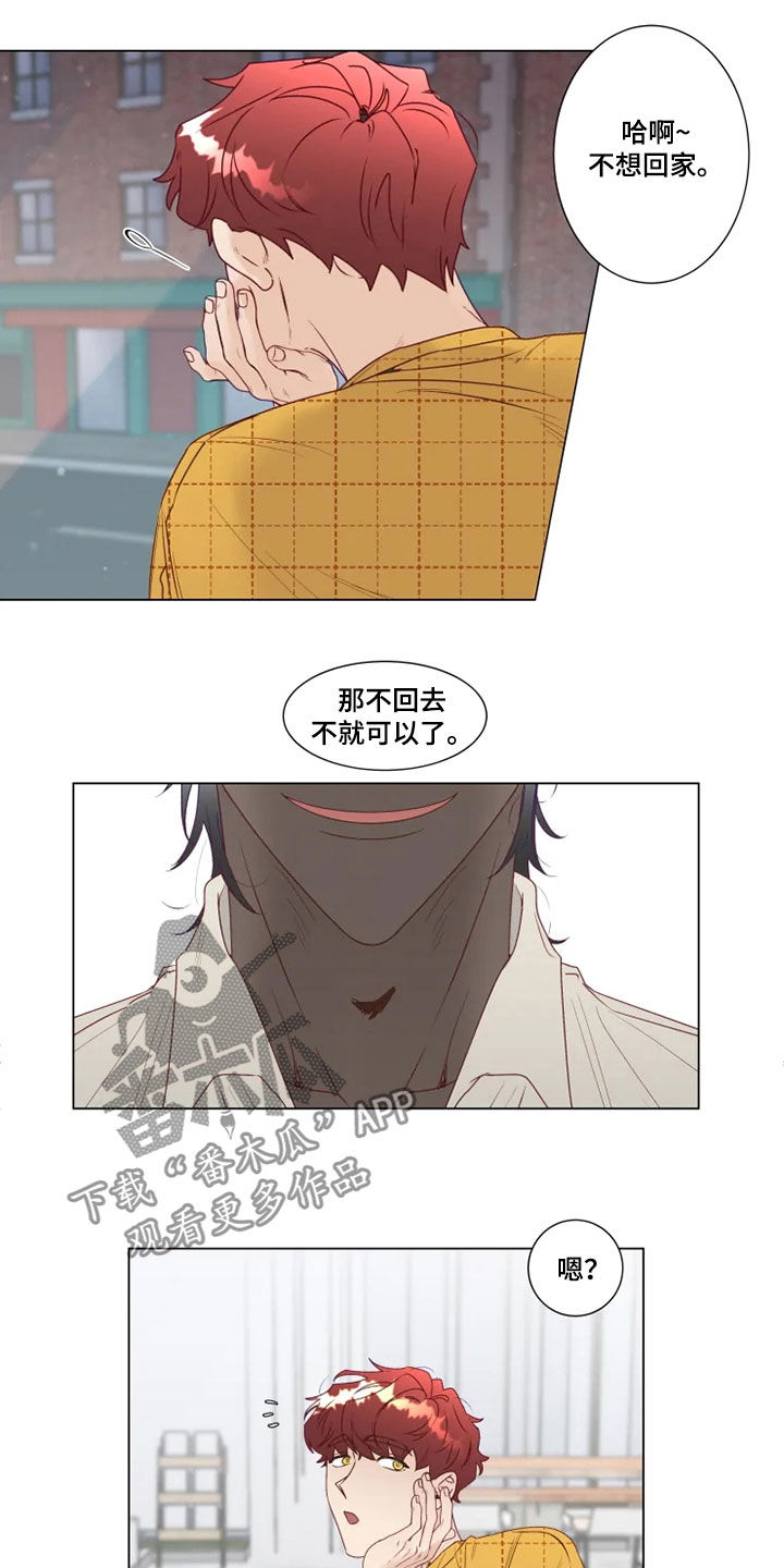 第24章：来我家吧12