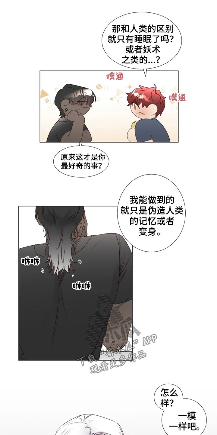 第31章：逛街8