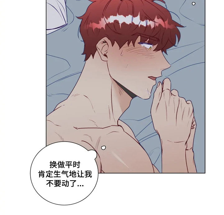 第21章：猜不透9