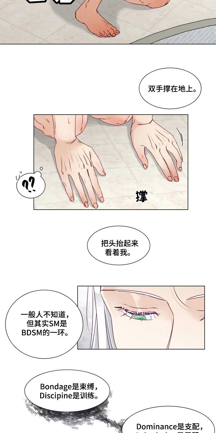 第15章：屈服8