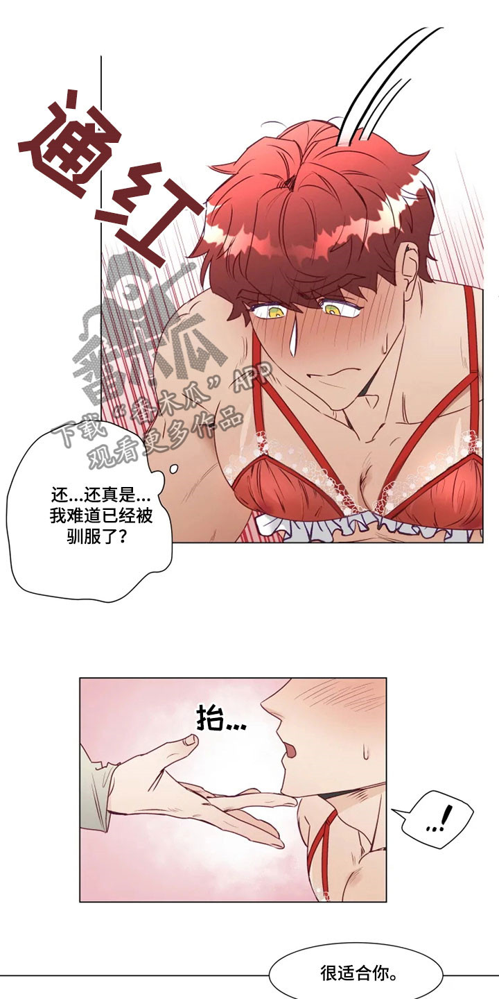 第15章：屈服12