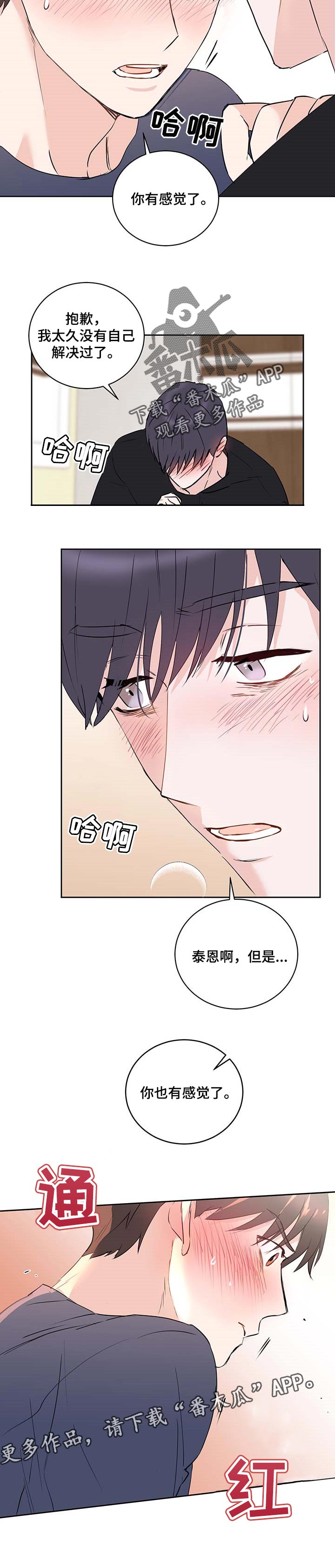 第21章：试验9