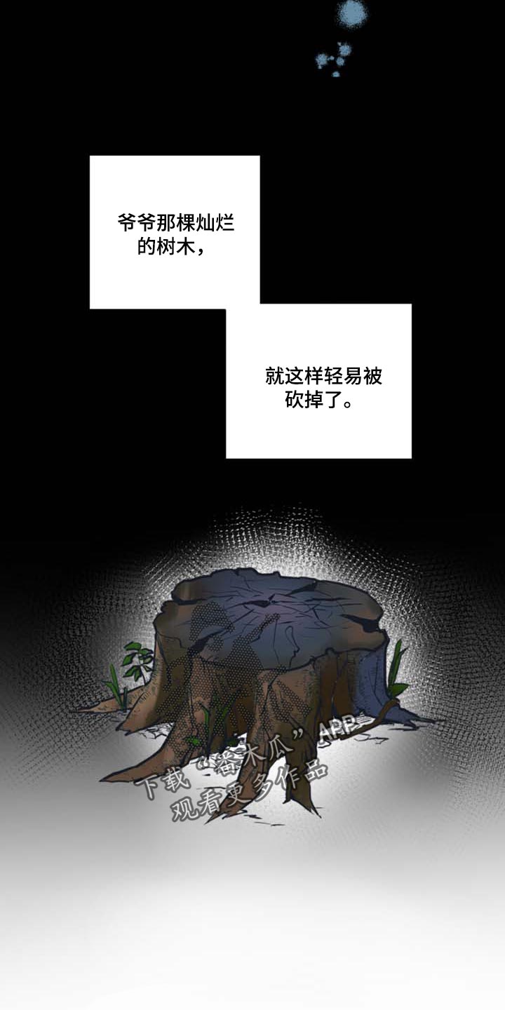 第43章：我会保护你（第一季完结）17