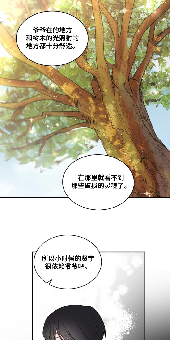 第42章：爷爷的愿望13
