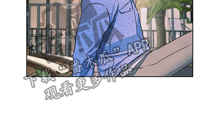 第10章：理想型32