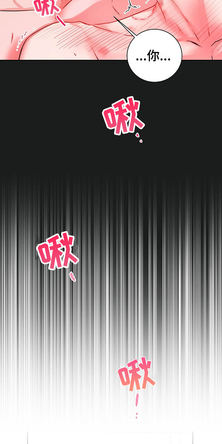 第10章：理想型43