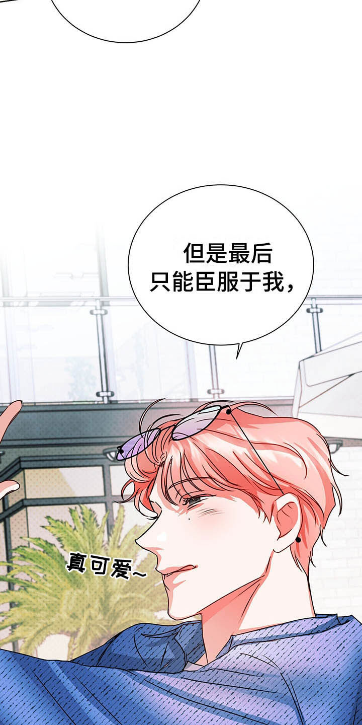 第10章：理想型30