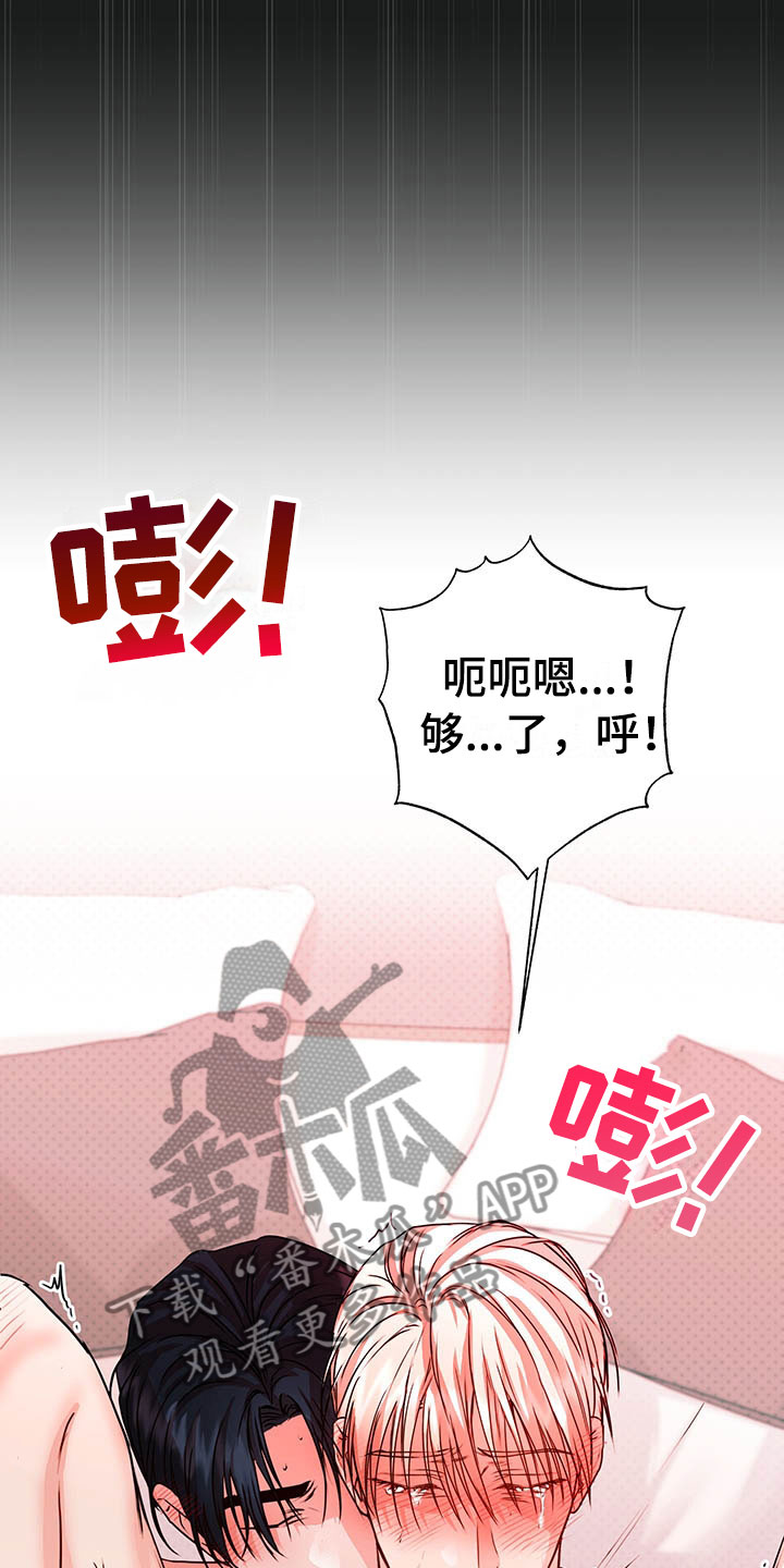第10章：理想型37