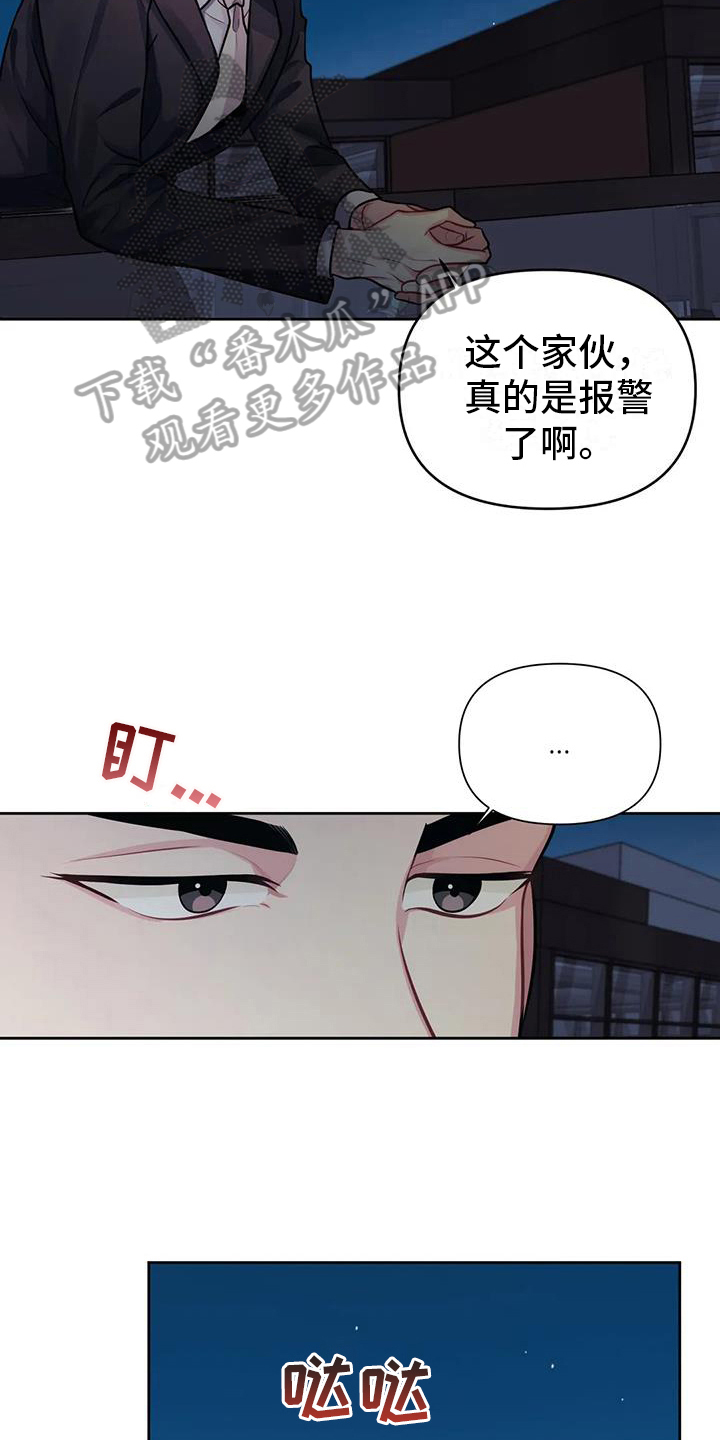 第5章：汇报17