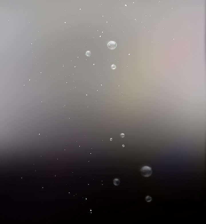 第15章：狐狸精6
