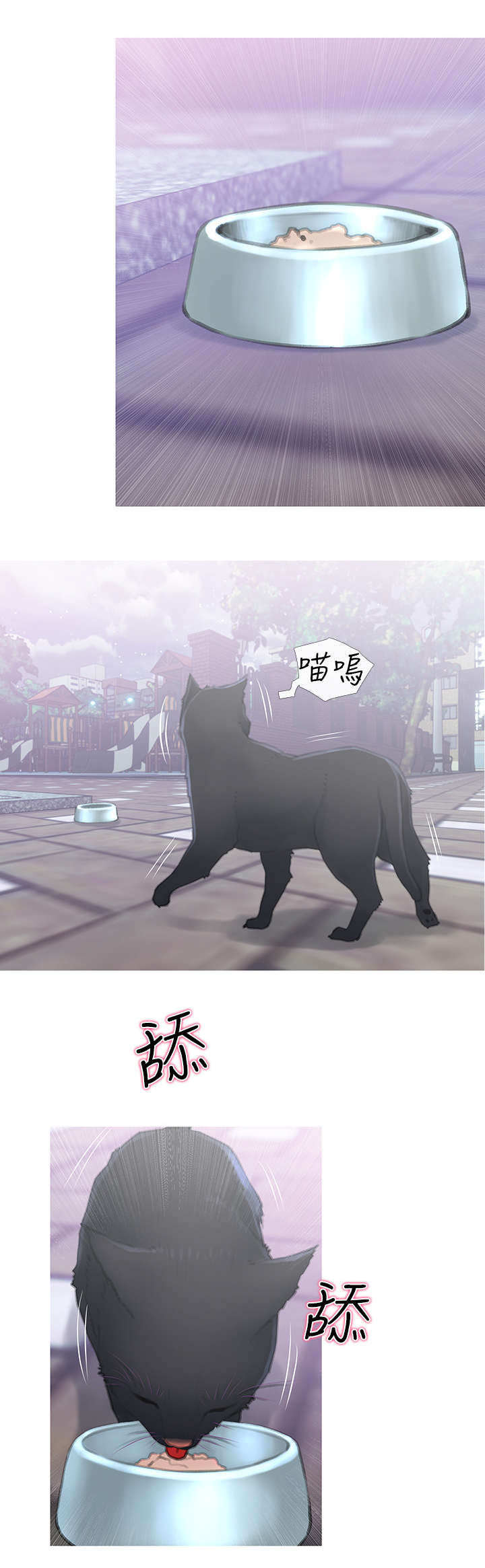 第1章：猫咪6