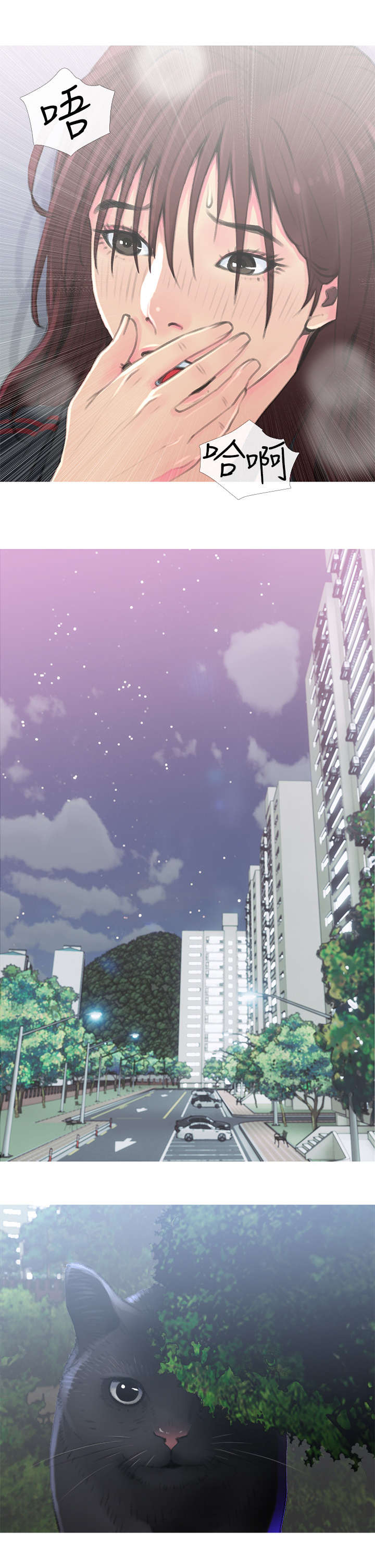 第1章：猫咪5