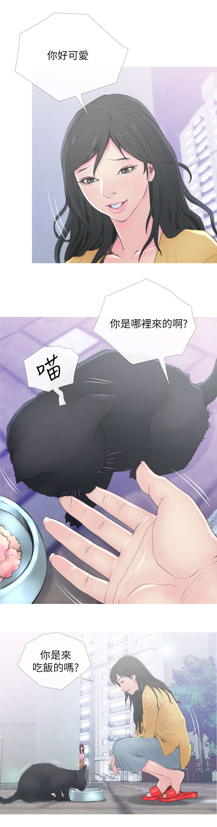 第1章：猫咪8
