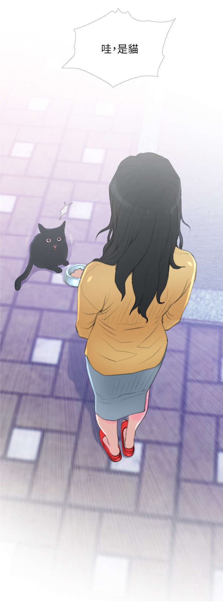 第1章：猫咪7