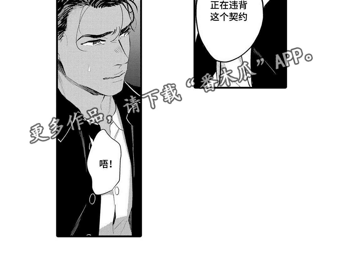 第15章：机会14