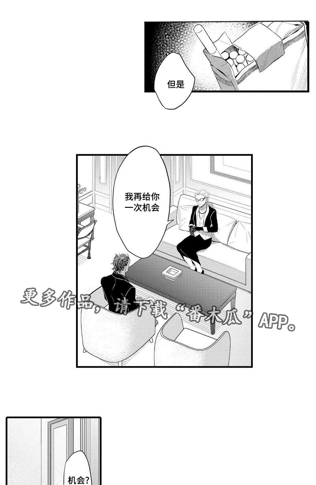 第15章：机会15