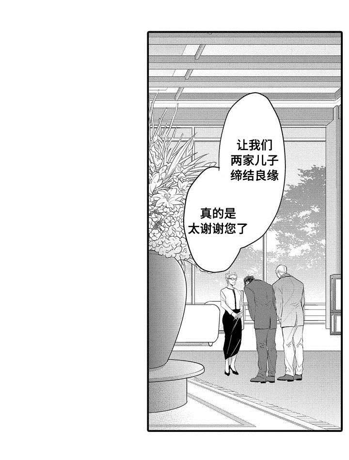 第1章：结婚12