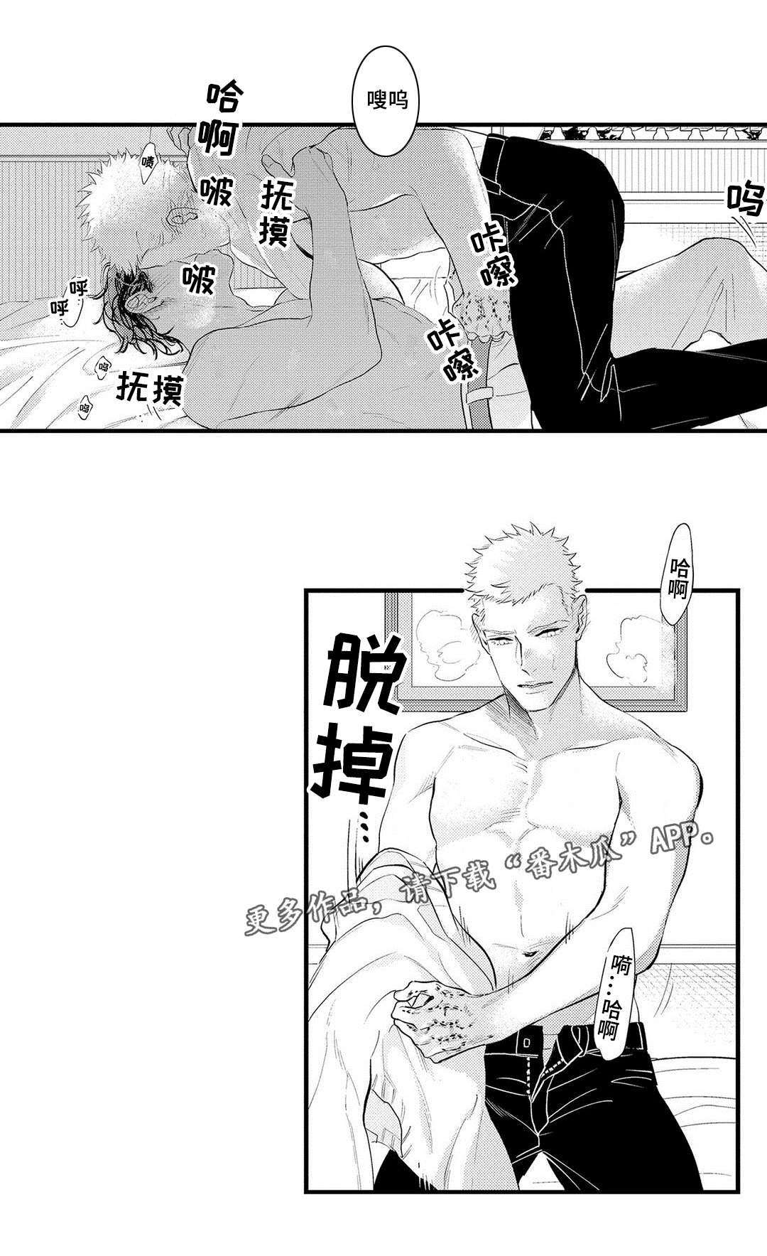 第17章：结合5