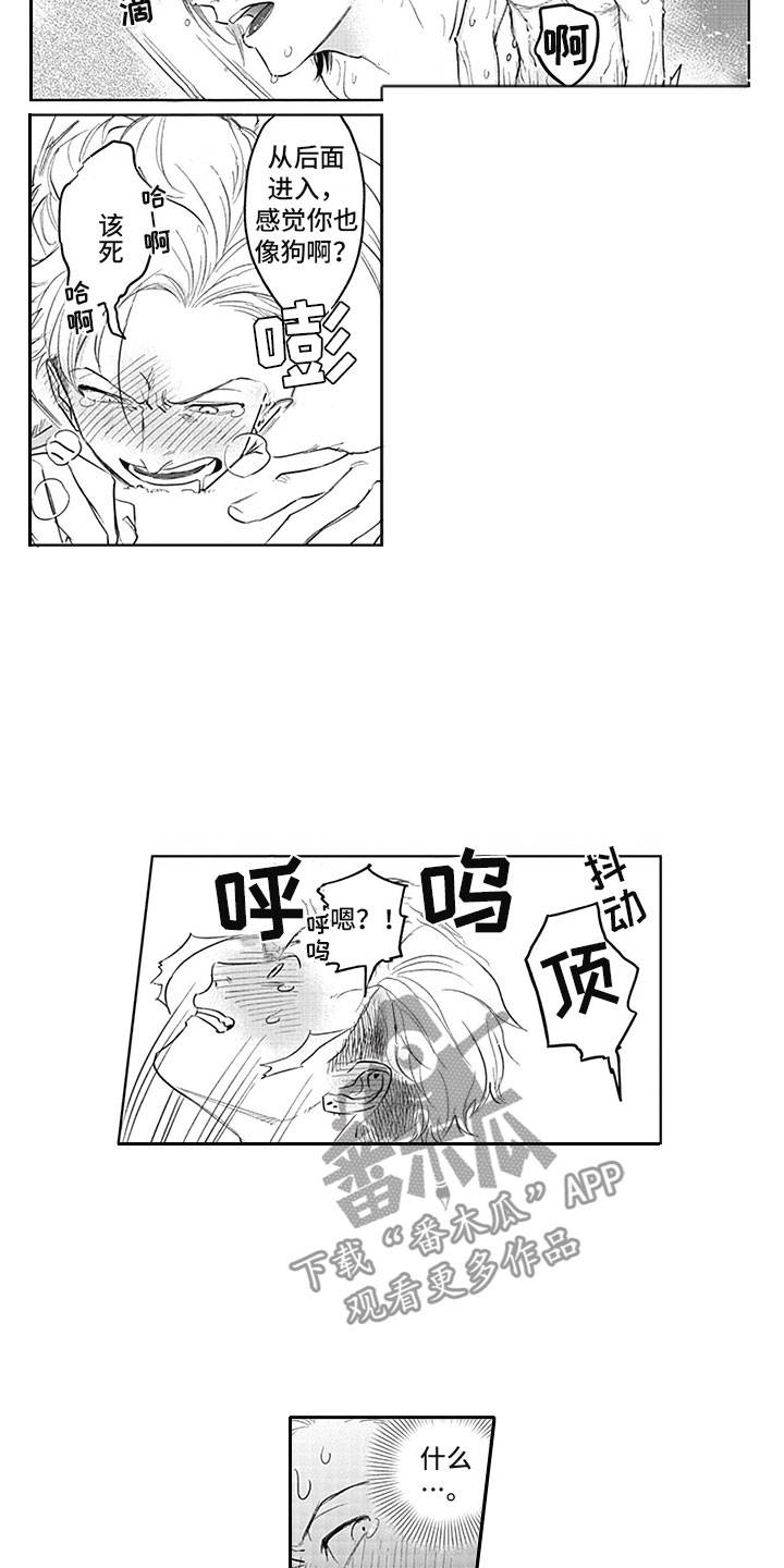 第16章：期待3