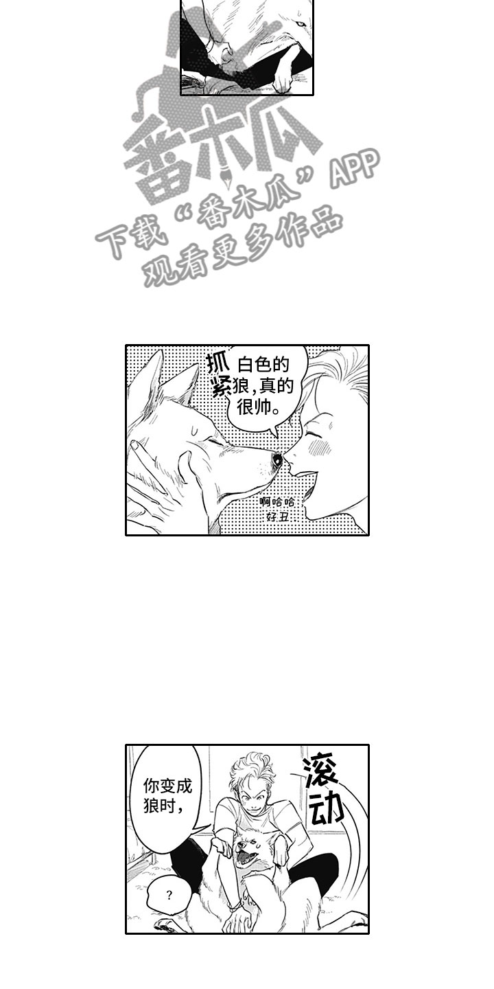 第15章：得偿所愿11