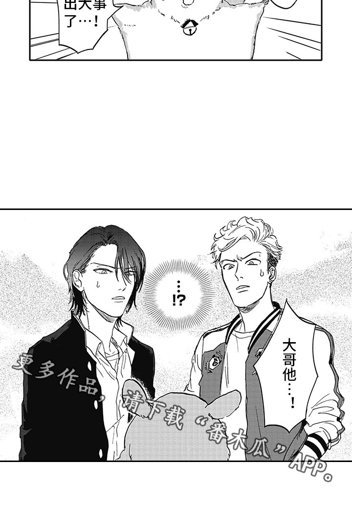 第7章：开心15