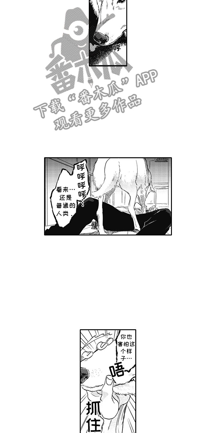 第6章：真面目8